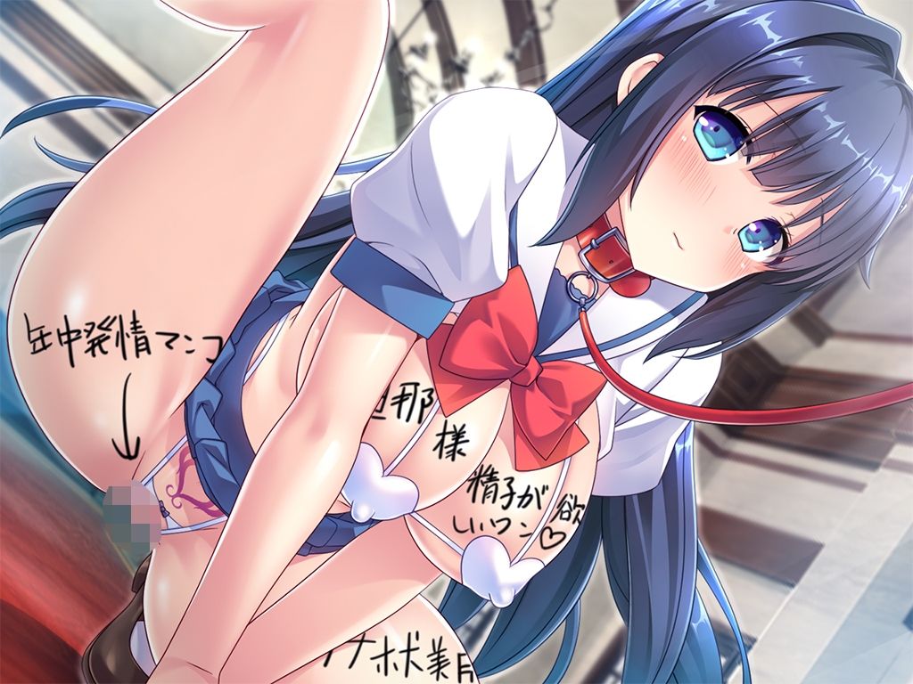 動画版大和撫子なお嬢様が妊活のために超都合のいい孕ませオナホ嫁として嫁いできた！