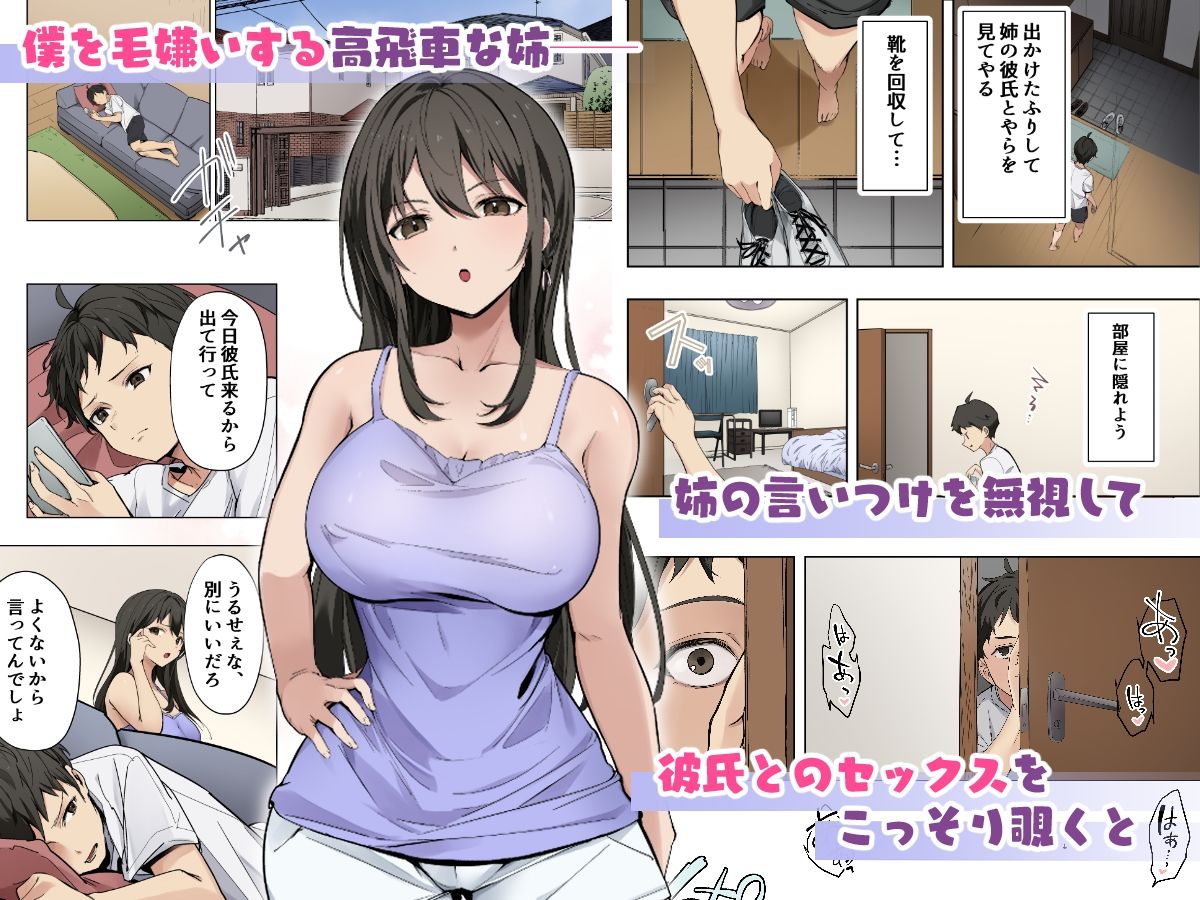 姉が彼氏とセックスしているのを目撃して以来、勃起が止まらずハメまくっちゃいました